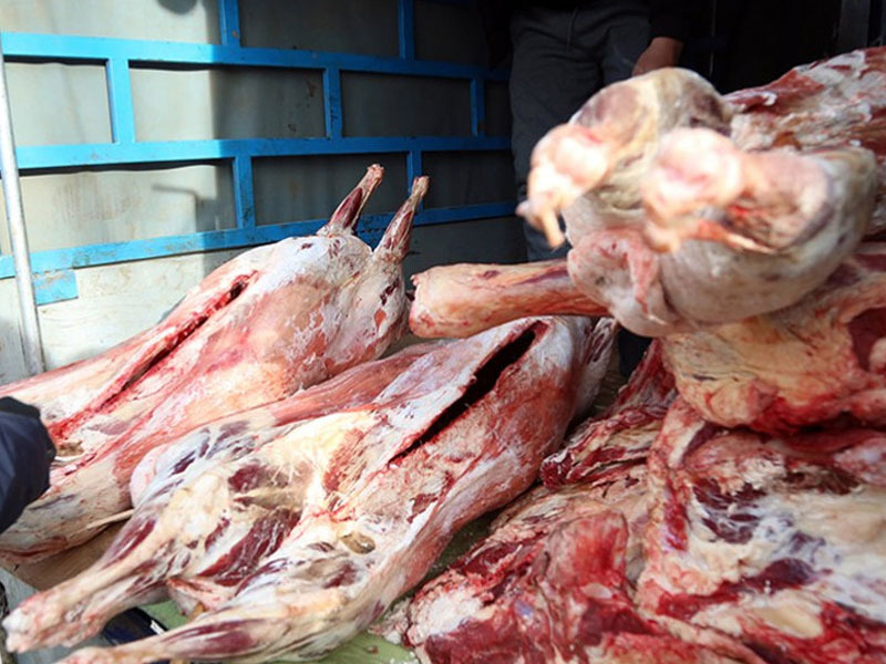 “Мал-Мах 2025” нэгдсэн арга хэмжээ зохион байгуулж байна